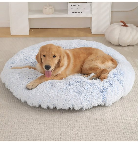 Foldable Pet Bed
