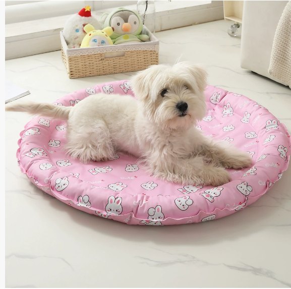 Foldable Pet Bed