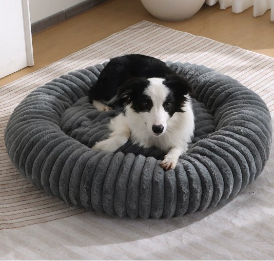 Foldable Pet Bed