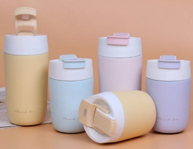 Stainless Steel Thermal Bottle 480ml ED-1035